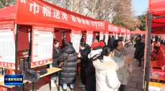 <strong>设置了企业聘请区、“技术出息”就业创</strong>