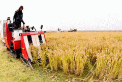 持农业出产各类补助性资金